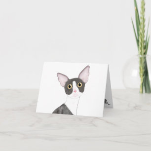 Cornish Rex Grußkarte Feiertagskarte