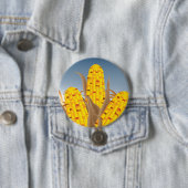 Cornschaltfläche Button (Beispiel)