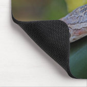 CornSnakeCorner Mousepad (Ecke)