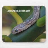 CornSnakeCorner Mousepad (Vorne)