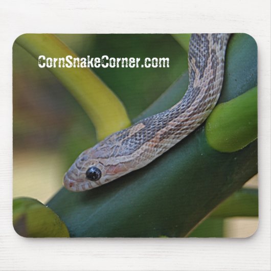CornSnakeCorner Mousepad (Vorne)