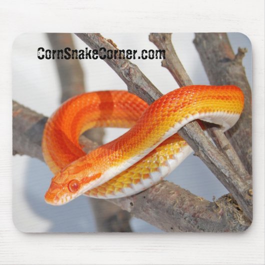 CornSnakeCorner Mousepad (Vorne)