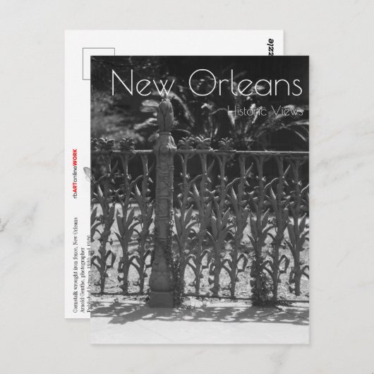 Cornstalk Wrotish Iron Fence Postkarte (Vorne/Hinten)