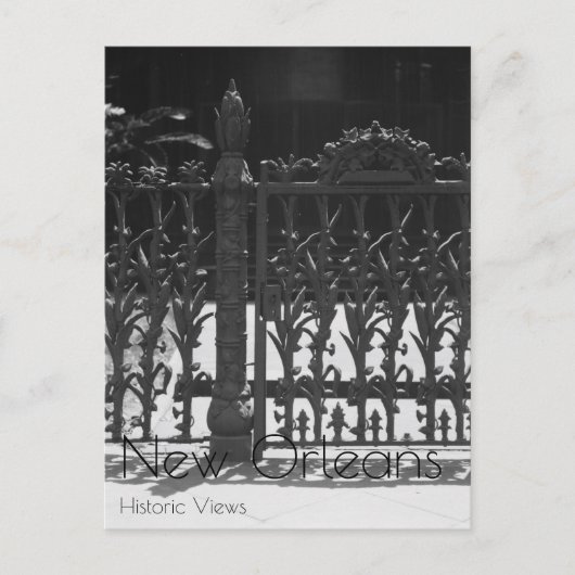 Cornstalk Wrotish Iron Gate Postkarte (Vorderseite)