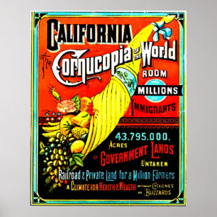 Cornucopia - Print Poster