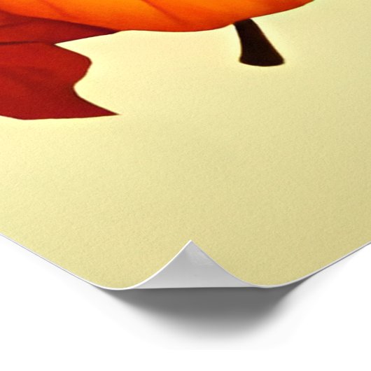 Cornucopia voll mit Gemüse Poster (Ecke)