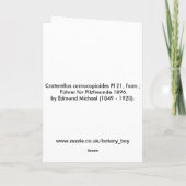 Cornucopioides Karte (Rückseite)