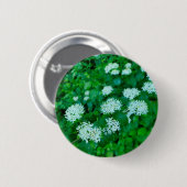 Cornus sanguinea Abzeichen Button (Vorne & Hinten)
