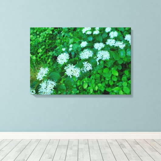 Cornus sanguinea leinwanddruck (Insitu (Holzboden))