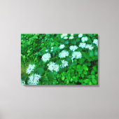 Cornus sanguinea leinwanddruck (Vorderseite)