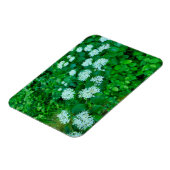 Cornus sanguinea magnet (Linke Seite)