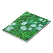 Cornus sanguinea notizblock (Rotiert)