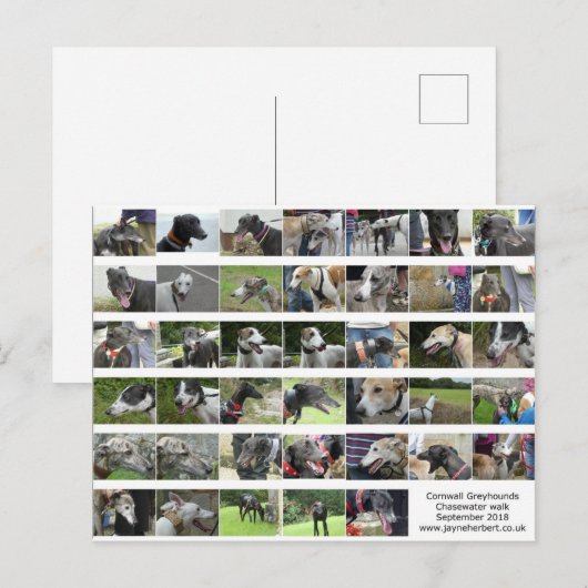 Cornwall Greyhounds - September 2018 Postkarte (Vorne/Hinten)