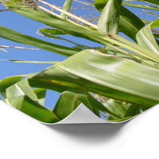 Corny sky poster (Ecke)