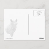 Corolla Wild Horse Postkarte (Rückseite)