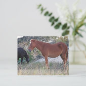 Corolla Wild Horses Postkarte (Stehend Vorderseite)