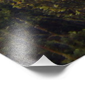 Coromandel Neuseeland Pinnacles GoPro breit Fotodruck (Ecke)