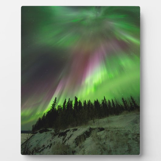 Corona Aurora Fotoplatte (Vorderseite)