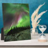 Corona Aurora Fotoplatte (Seite)