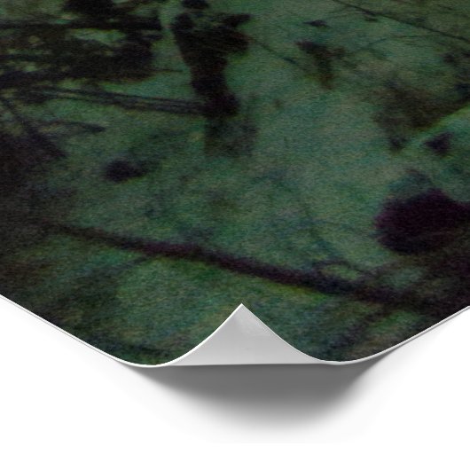 Corona Aurora Poster (Ecke)