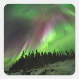 Corona Aurora Quadratischer Aufkleber