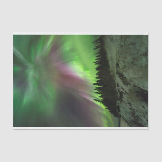 Corona Aurora Seidenpapier