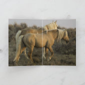 Corona & Cheyenne bei Dawn Wild Horse Greeting Car Karte (Innenseite)