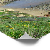 Corona Del Mar California CA Poster (Ecke)