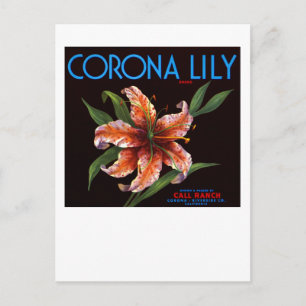 Corona-Lilie Postkarte