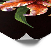 Corona Lily Poster (Ecke)