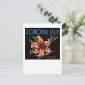 Corona Lily Postkarte (Stehend Vorderseite)