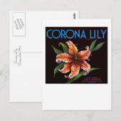 Corona Lily Postkarte (Vorne/Hinten)