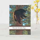 Corona-Virus Funny Social Distroning Bären in Tree Karte (Gelbe Blume)