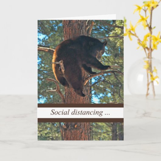 Corona-Virus Funny Social Distroning Bären in Tree Karte (Gelbe Blume)