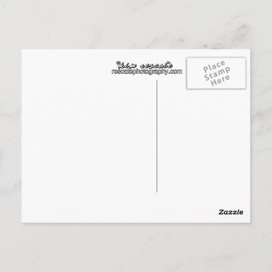 Coronado Bridge Sunrise Postkarte (Rückseite)