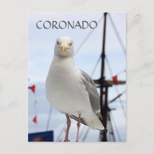 Coronado, Seagull und Boat Postcard Postkarte (Vorderseite)