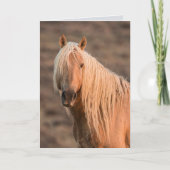 Coronas Morgengraukarte Karte (Vorderseite)