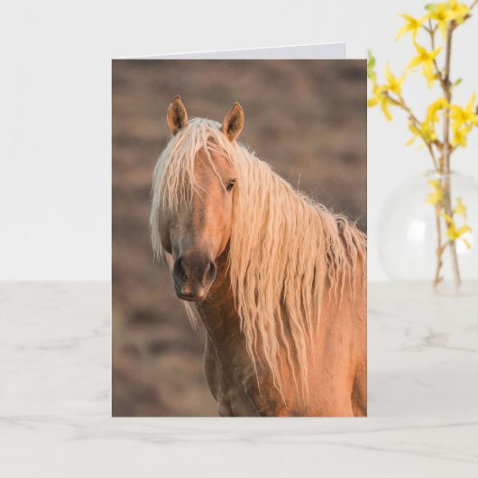 Coronas Morgengraukarte Karte (Gelbe Blume)