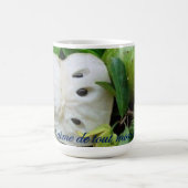 Corossol Kaffeetasse (Mittel)