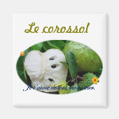 Corossol Magnet (Vorne)