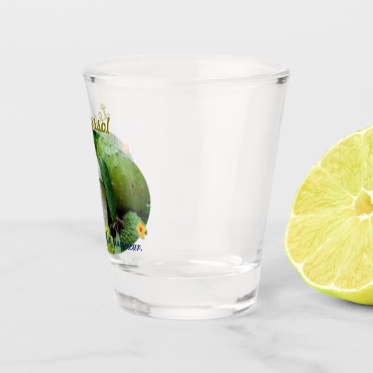 Corossol Schnapsglas (Rechts)