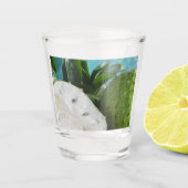 Corossol Schnapsglas (Vorderseite)