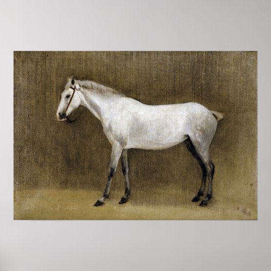 Corot - Apple Gray Horse Poster (Vorne)