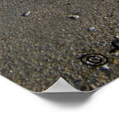 Corpus Christi Beach Poster (Ecke)