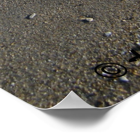 Corpus Christi Beach Poster (Ecke)