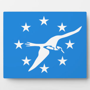 Corpus Christi City Flag Plaque Fotoplatte