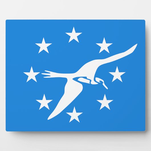 Corpus Christi City Flag Plaque Fotoplatte (Vorderseite)