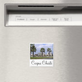 Corpus Christi, Texas Magnet (In Situ (Geschirrspüler))