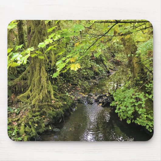 Corral Creek, Oregon Mousepad (Vorne)