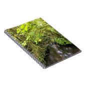 Corral Creek, Oregon Notizblock (Rechte Seite)